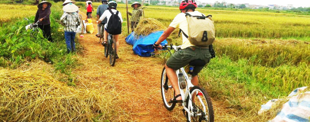 Cycling tour Co Loa in Hanoi