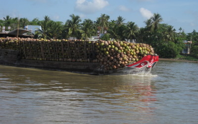 Mekong delta 3