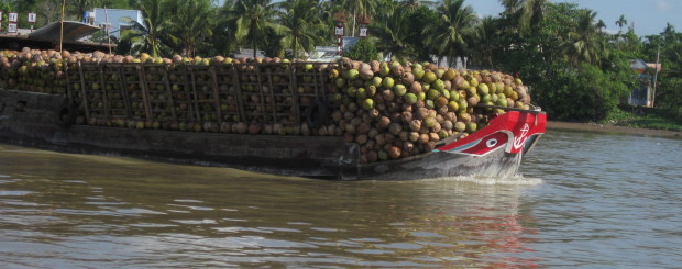 Mekong delta 3