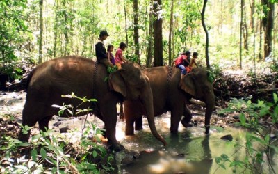 Modulkiri trek and elephant ride